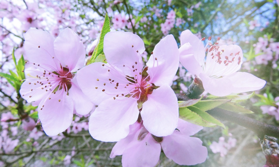 603ef2b33e45c.png