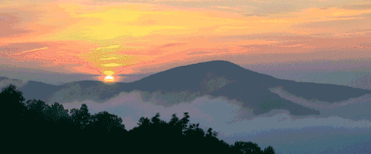 64e5825939c5f.gif