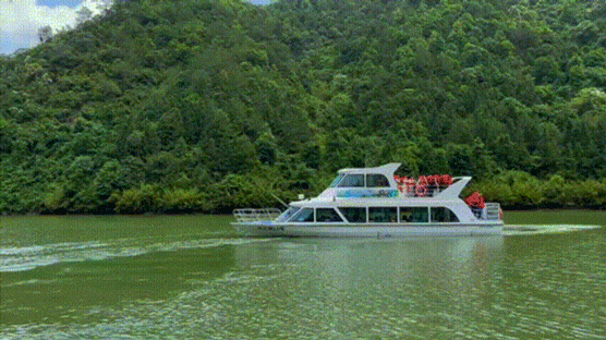 64ead4658ea39.gif